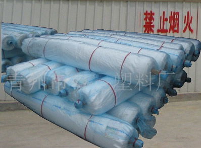 青州海飞塑料制品厂 优质灌浆膜、地膜、农膜、大棚膜批发供应商